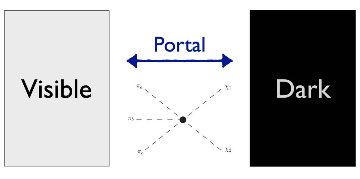 Topological Portal to the Dark Sector | Theoretical Particle Physics ...