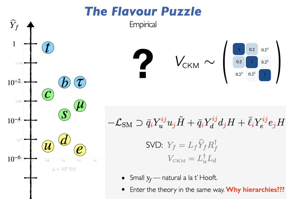 The flavor puzzle